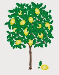 Gambar buah apel karikatur koleksi gambar hd gambar buah apel kartun adalah inspirasi dari postingan kami tentang 12 koleksi gambar buah apel terbaru 2021 dan sudah kami ringkas untuk anda gambar kartun buah lucu aneka jenis buah buahan segar gambar kartun buah lucu aneka jenis buah buahan segar bagi anda yang mencari informasi terbaru blog. Gambar Pohon Mangga Kartun Lucu Mango Tree Cartoon Pictures Wallpaper Menggambar Pohon Pohon Gambar