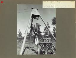 Rare Historical Photos of Smokejumpers ...