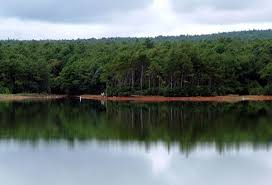 Mare Aux Vacoas Mauritius Mauritius Mare Water