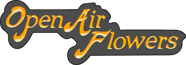 Maybe you would like to learn more about one of these? Open Air Flowers San Luis Obispo S Premier Flower Shop