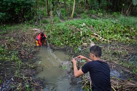 Ditambah sungai brantas adalah sungai terpanjang kedua di jawa dan jadi habitat dari banyak jenis ikan lokal. Menangkap Ikan Di Sungai Steemit