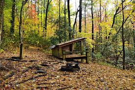 The upper cabin loop is hiked by using the upper cabin access trail to the lake trail, proceeding to the goldmine creek trail and returning on the gahuti trail to the upper cottage area. Campmii