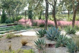 Please note, however, that some services (like horticultural consultation and construction planning) may require a fee to prepare. Modern Landscape By D Crain Design And Construction Modern Garden Landscaping Garden Landscape Design Xeriscape Landscaping