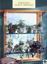 hanging plant shelves kitchen window