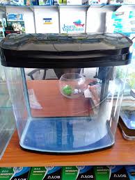 To decrease algae growth, use an aquarium light timer to ensure your plants consistently get the right amount of. Rs 380a Fish Tank Capacity 30l Isuru Aquarium Aluthgama Facebook