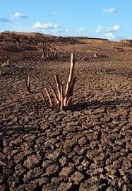 Por peter moon, na agência fapesp. 22 Melhor Ideia De Seca No Nordeste Seca No Nordeste Sertao Cangaco