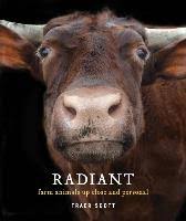 Check spelling or type a new query. Radiant Farm Animals Up Close And Personal Farm Animal Photography Book Scott Traer Dussmann Das Kulturkaufhaus