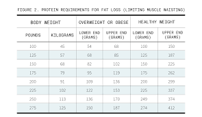 How Much Protein A Day To Build Muscle Transparent Labs