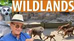 Wildlands Zoo Emmen Netherlands - YouTube