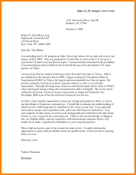 Academic Cv For Phd Application Example Best Resume Examples