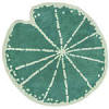 Find suppliers of lily pad for a range of prices and styles. Https Encrypted Tbn0 Gstatic Com Images Q Tbn And9gcrpyrwt623acp8ml2v6ydfrcacvp Zx2amjho9b46dbri9h0ed9 Usqp Cau