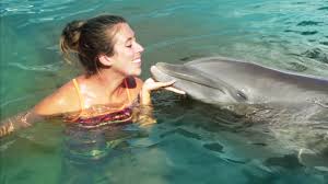 Learn about florida keys using the expedia travel guide resource! Florida Keys Vacation Guide Attractions In The Florida Keys