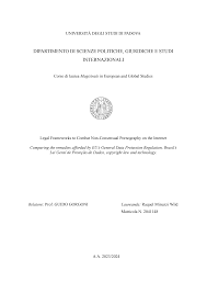 Legal Frameworks to Combat Non-Consensual Pornography: Comparing the  remedies afforded by EUs General Data Protection Regulat