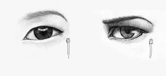Asian Eye Shape Eye Drawing Asian Eyes Eye Art