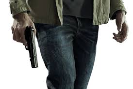 Image result for Polystachya troupiniana