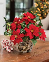 Check spelling or type a new query. Stunning Silk Floral Gifts For Christmas Holidays At Petals Com