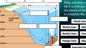 Ocean Zones With Light And Color Distance Learning Tpt