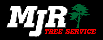 You guys did everything you said you would and more, incredibly affordable and most certainly friendly and professional. Mjr Tree Service Isa Arborists Dangerous Tree Removal