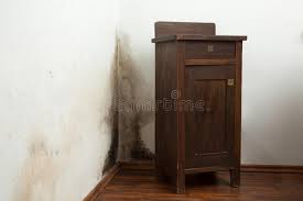 Use up to 1/2 cup of bleach if the cabinet interior is made of wood. 31 603 Mould Photos Free Royalty Free Stock Photos From Dreamstime