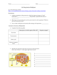 9.2 the process of cellular respiration. Cell Respiration Webquest