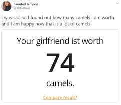 Do you live at home? How Many Camels Am I Worth Tiktok Users Worry Over Camel Calculator In Latest Trend