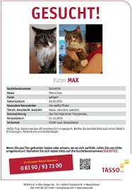 Kater Max Wird Seit Dem 01 12 19 In Lauf Vermisst Tierhilfe Franken E V