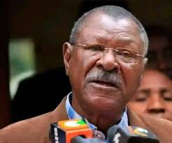 Zimbabweans in South Africa with monetized Facebook pages