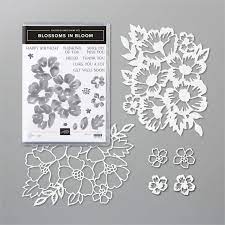 In a fit of impulse, kurt breaks up with paul, sending paul into a downward cycle of emptiness and pain. Stampin Up Produktpaket Blossoms In Bloom Englisch