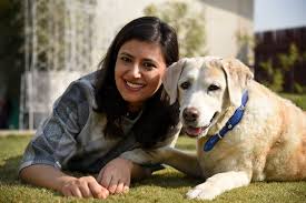 Sks pet hospital is the best pet hospital in chennai. These Startups Provide A Variety Of Services For Your Pets