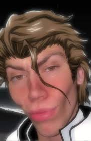 Gremmy meteor is more than 1/3 of the seireitei