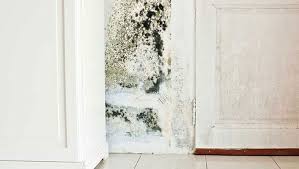 Öncelikle rutubetin neden kaynaklandığını bilmemiz gerekmektedir. Evde Rutubet Olusumu Nasil Engellenir