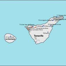 Image result for Diaphananthe lebelii