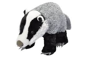 This European Badger Is As Cute As Cute Can Be Innocent Eyes Squishy Tummy Multi Textured Softness A Realistic Stuffed Animals Plush Stuffed Animals Badger