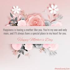 And home has always been sweet home with a wonderful mother like you! Best 50 Mother Day Quotes For Sister And Sister In Law Quotes Yard