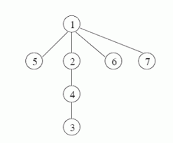 Asupra lui se vor face m operatii, codificate astfel in fisierul de intrare: Reprezentarea Si Parcurgerea Arborilor Oarecare