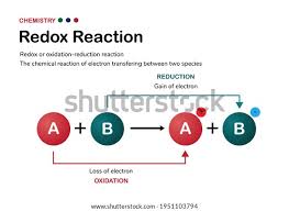 Image result for Redox Reaction