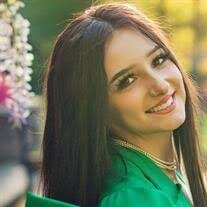 Jillian Emily Seichter Obituary