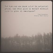 Pin On Quotes