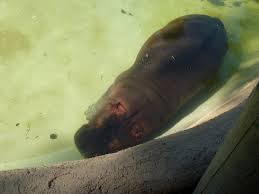 Friends of Adam Ruble added a new...