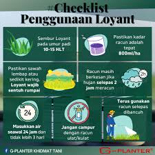 Wereng coklat nilaparvata lugens, wereng punggung putih sogatella furcifera, wereng hijau nephotettix virescens, kepinding tanah scotinophara. Guna Loyant Tapi Rumpai Tak Clear G Planter Khidmat Tani Facebook