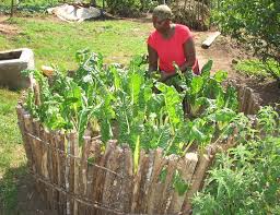 We did not find results for: Keyhole Garden How To Build One And 30 Inspirational Ideas For Your Garden Insteading