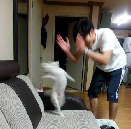 짜란다 짜란다 - 🎃침착맨 짤 - 침하하