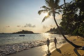 Check spelling or type a new query. Mirissa Beach Couple Taking A Romantic Walk Under A Palm Tree At Sunset South Coast Photographic Print Matthew Williams Ellis Art Com