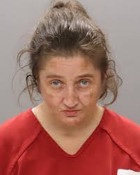 VASQUEZ, DAYRA YONI Charges: DOMESTIC ASSAULT/CONDITIONAL RELEASE ORDER  TWELVE (12) HOUR HOLD ENDS @1416 ON 08/07/2025 HOLD FOR IMMIGRATION (ICE)  DOMESTIC ASSAULT This information and more is available at  https://sheriff.knoxcountytn.gov