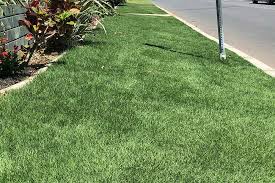 Let athens grass handle all your sod delivery and sod installation needs. Zeon Zoysia Hawaiian Turfgrass