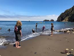 527 likes · 1,111 were here. Scorpion Beach Picture Of Santa Cruz Island Channel Islands National Park Tripadvisor