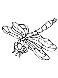 Dragonfly Coloring Page Free Printable Coloring Pages Dragonfly Drawing Insect Coloring Pages Coloring Pages