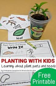 Whatever the reason, here is a list of a few fun activities to get your students to speak. 77 Plant Activities For Kids Ideas Plant Activities Plant Science Activities For Kids