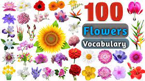 Plan your trip › visiting safely faq › Flowers Vocabulary In English Ll 100 Flowers Name In English With Pictures Youtube