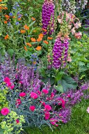Catmint, nepeta as the name suggests, catmint is a member of the mint family, but new varieties of these popular perennials are introduced regularly, so read the plant description before you buy. Pin By Photosynthesis Garden Deco On Combinations Plants Flowers Perennials Planting Flowers